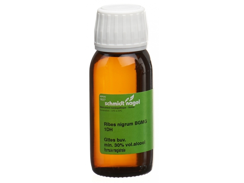 SCHMIDT-NAGEL ribes nigrum BG macérat glycériné 1 DH 125 ml