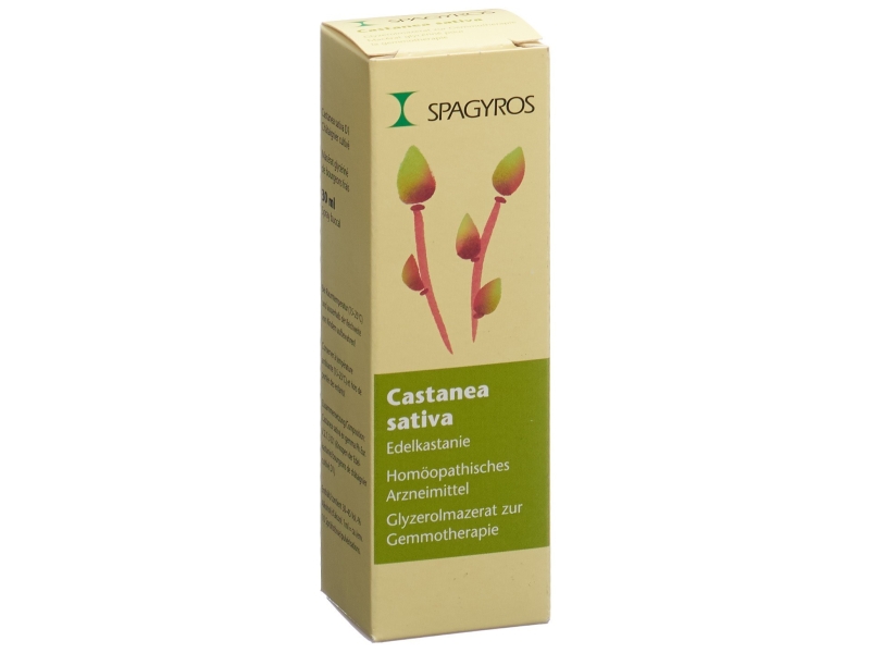 SPAGYROS Gemmo castanea sativa macérat glycériné 1 D 30 ml