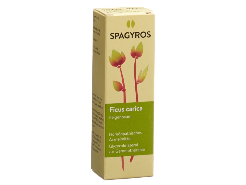 SPAGYROS Gemmo ficus carica macérat glycériné 1 D 30 ml