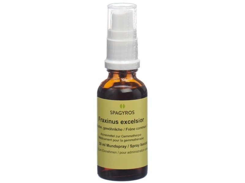 SPAGYROS Gemmo fraxinus excelsior macérat glycériné 1 D 30 ml