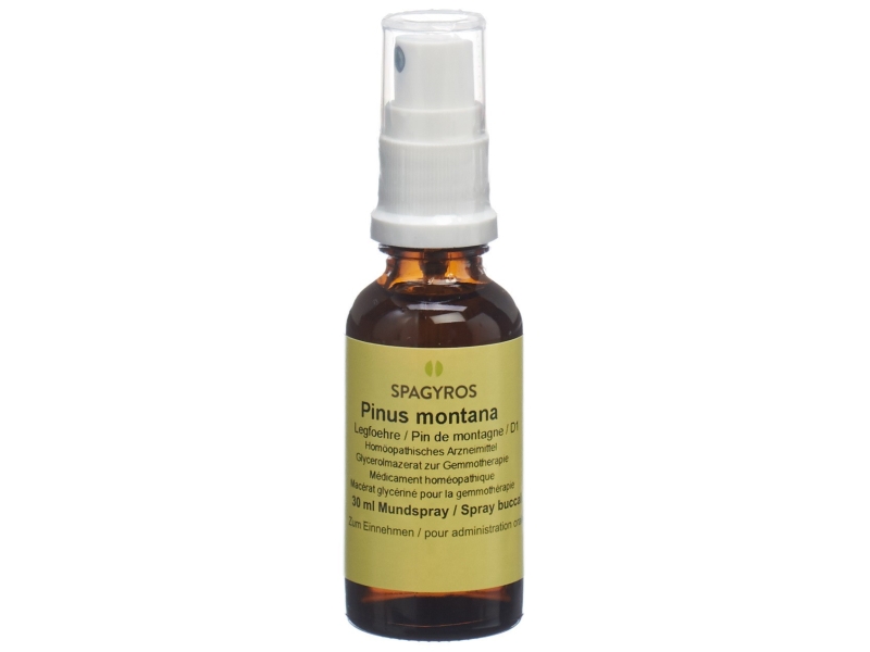 SPAGYROS Gemmo pinus montana macérat glycériné 1 D 30 ml