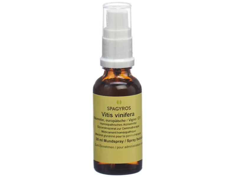 SPAGYROS Gemmo vitis vinifera macérat glycériné 1 D 30 ml