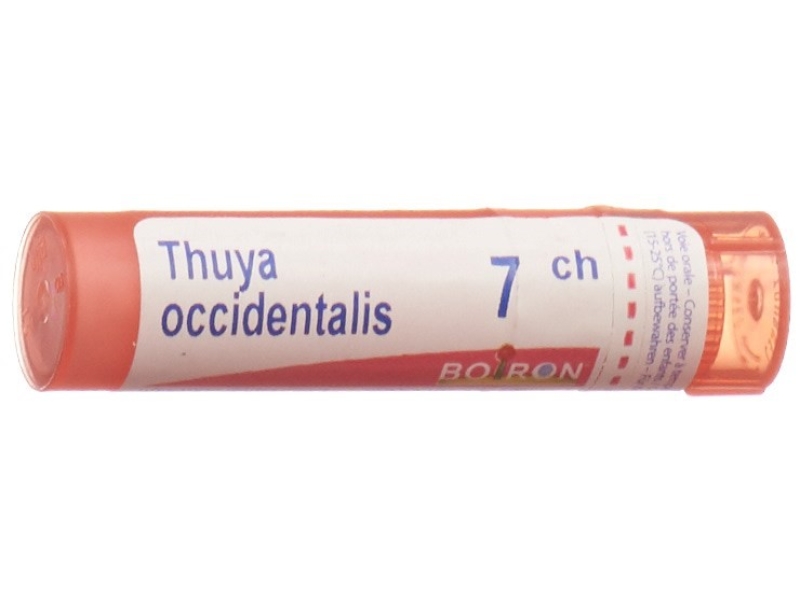 BOIRON thuya occidentalis granules 7 C 4 g